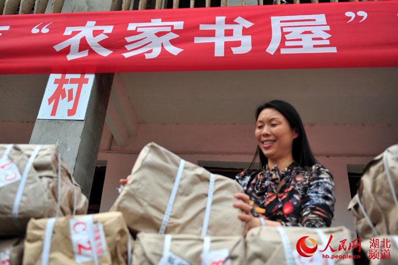图书馆配书对教育环境的重要性分析